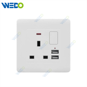 C50 Home Switches 13A Switched Socket with Neon+2USB White/gold/silver/brush Gold/wood/brush Silver