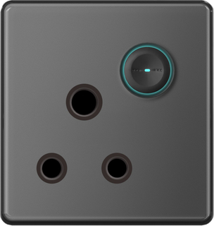 15A Switched Socket W/Without Neon 